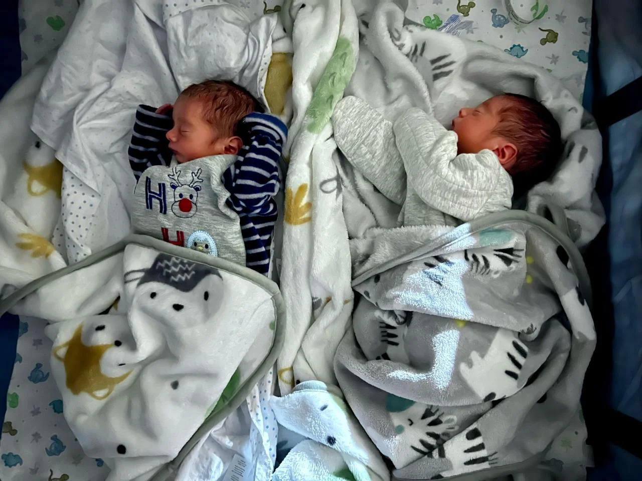 FET surrogacy cost in Mexico