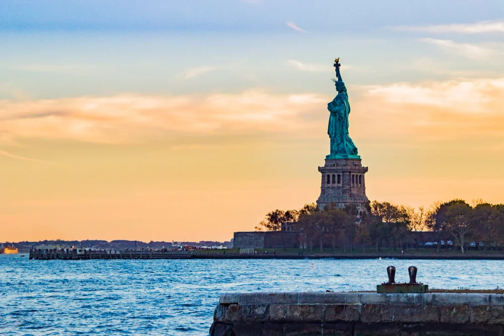 surrogacy agency for US citizens