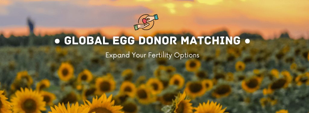 Global egg donor matching