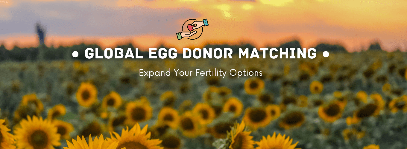 Choosing Donor Eggs: How Global Egg Donor Matching Expands Fertility Options